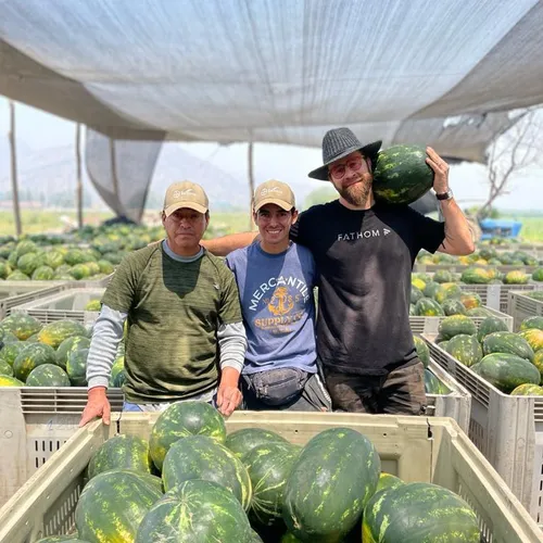 Equipo de Rey de la Sandía en plena cosecha