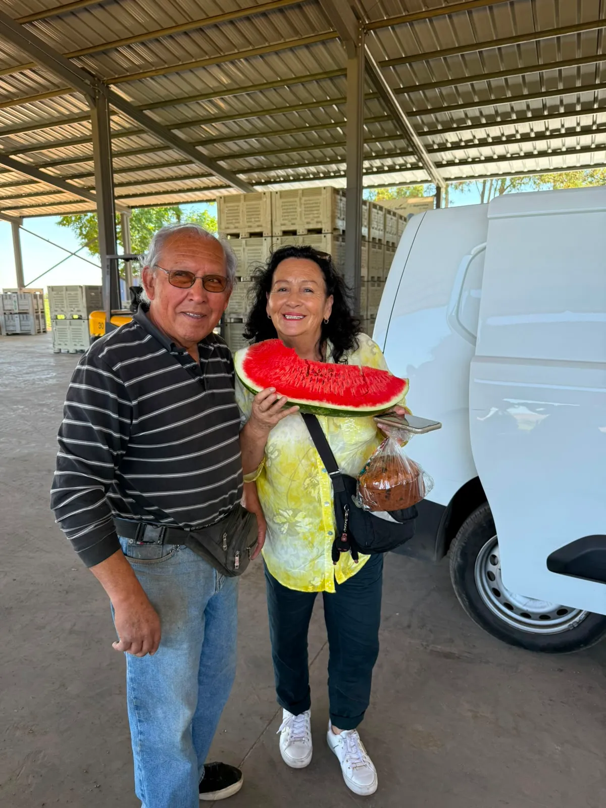 Compradores eligiendo sandías frescas