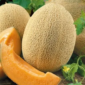 Melón Goliat tipo calameño con pulpa anaranjada