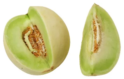 Melón tuna cortado con pulpa verde clara