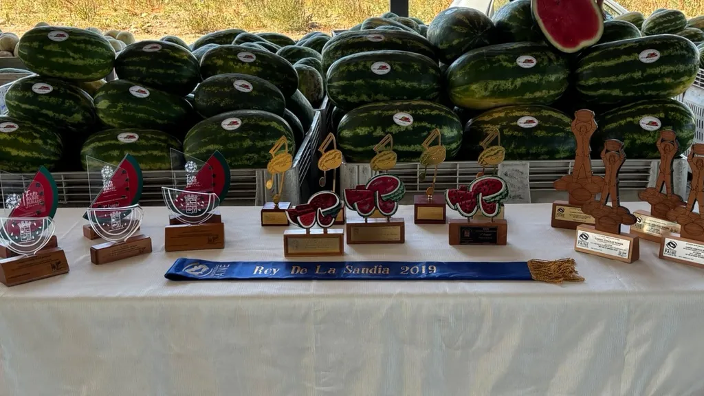Trofeos y premios del concurso Rey de la Sandía de la Expo Paine, con bins de sandías de fondo